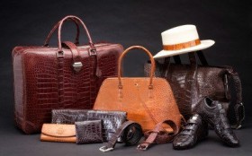 16658493-set-of-products-which-made-of-crocodile-leather