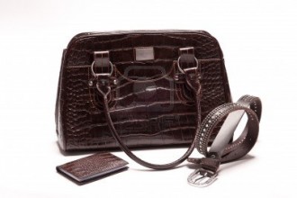 12011455-isolated-handbag-with-belt