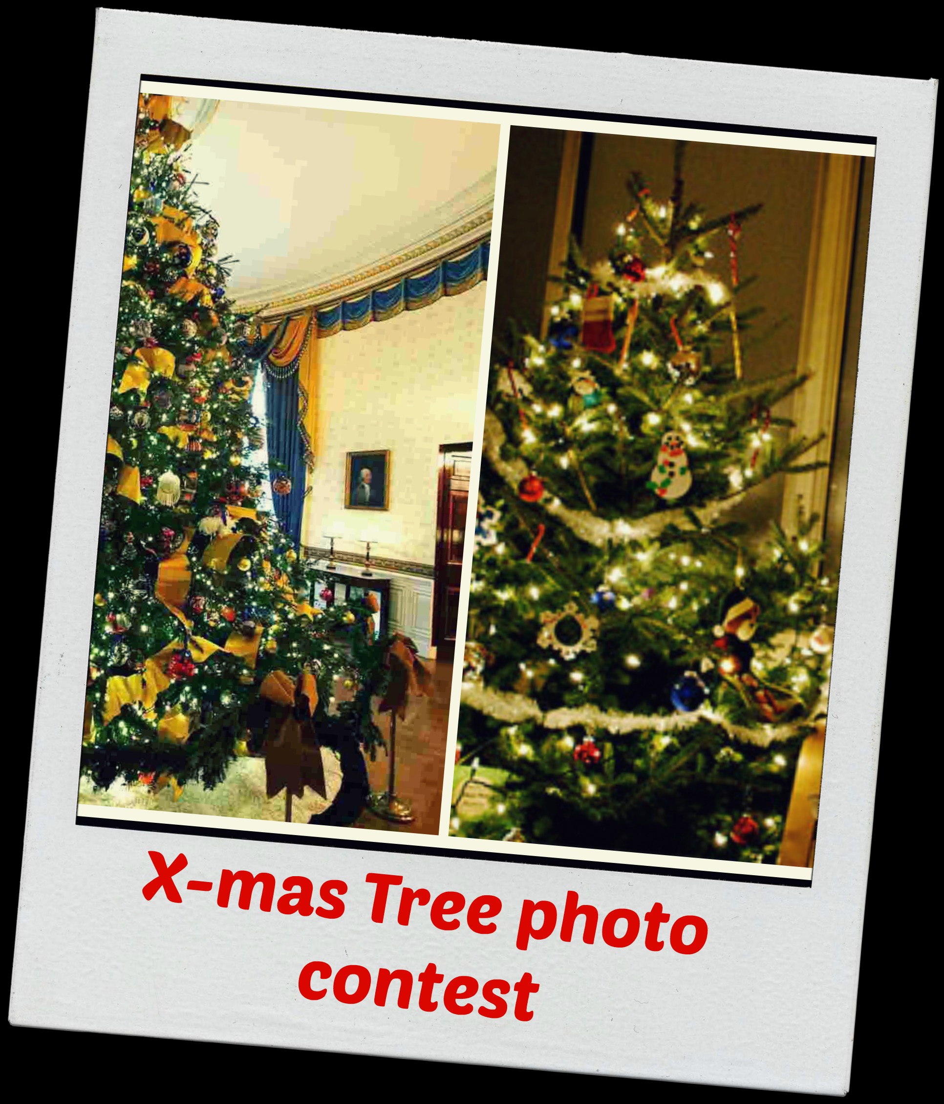 Christmas special:12 days of photo contest.