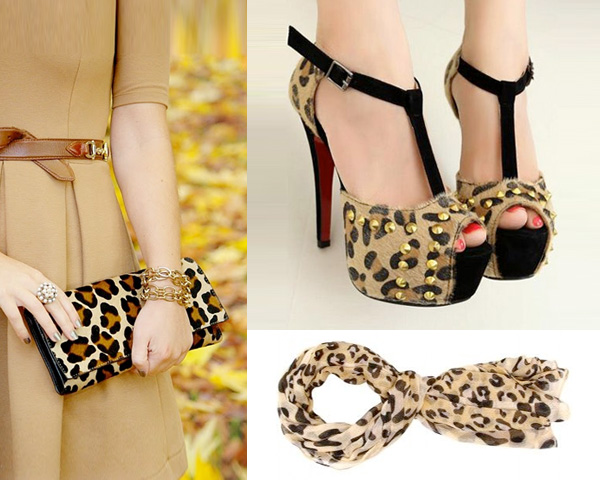 leopard-_accessories